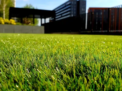 A level, uniformly green lawn photographed at ground level, with a dark slatted screen and low building behind.