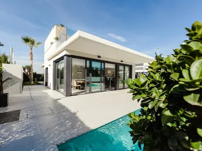 A pool running alongside a paved surround, with a clipped hedge in the foreground and palms behind a single-storey house.